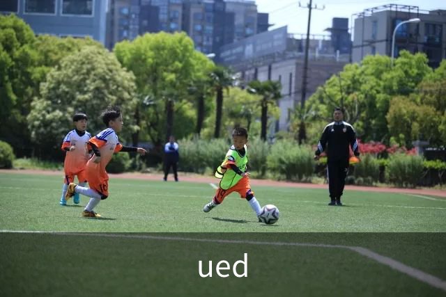 ued公司简介图片